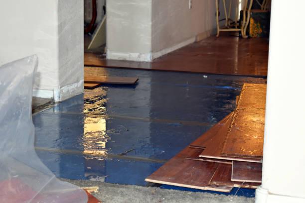 Professional Basement Water Removal technician working in Palisades Park, NJ