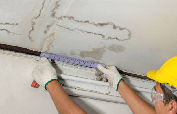 Reliable Basement Water Removal contractor in Palisades Park, NJ by Water Damage Irwin